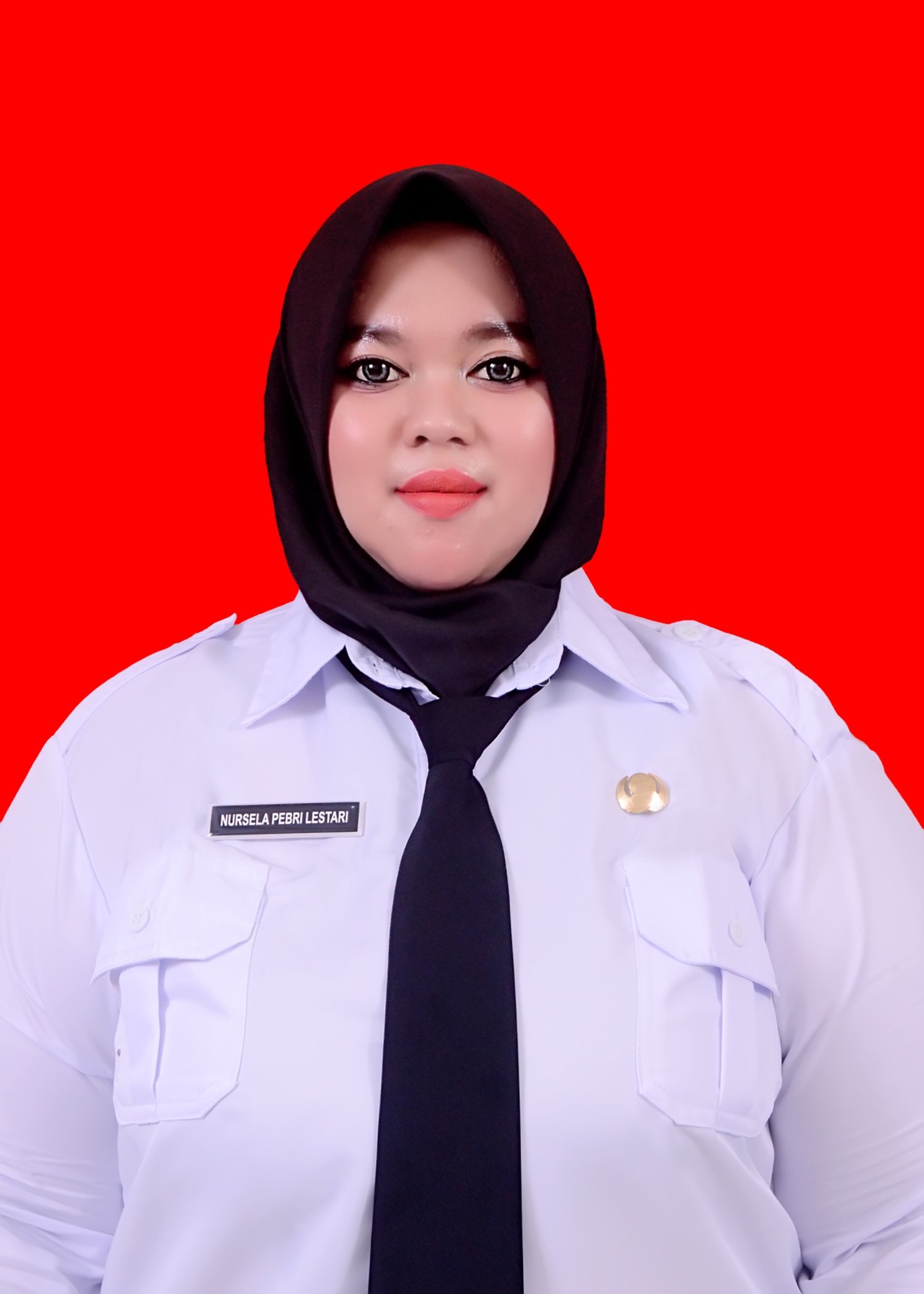 Nursela Pebri Lestari,S.Pd.