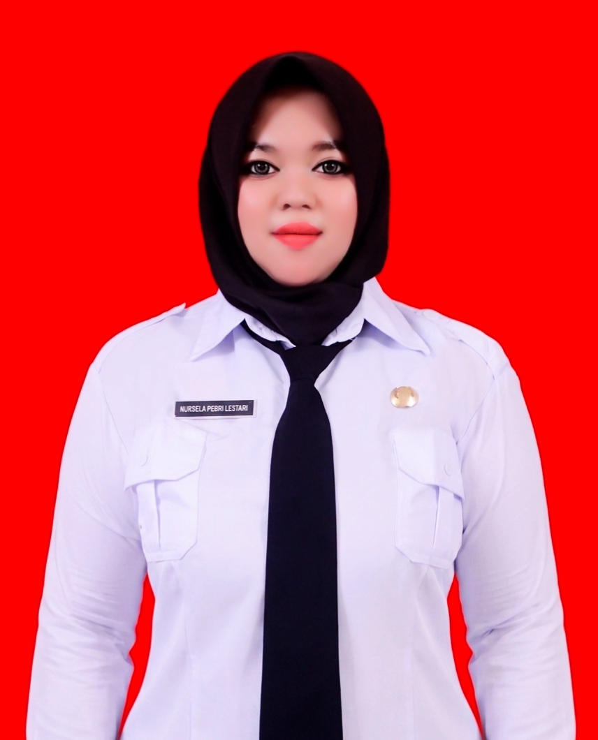Nursela Pebri Lestari,S.Pd.